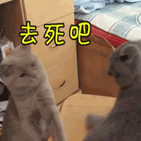 可爱的表情包6