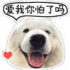 微信表情含义 机智7