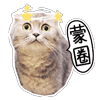 要零花钱表情包10