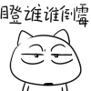 猫咪表情包壁纸8