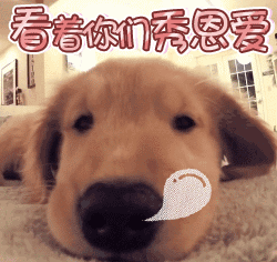 王力宏和张学友的表情包8