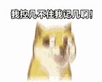 丧又可爱的表情包1