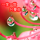 下跪道歉磕头表情包7