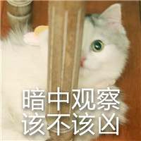 表情包搞笑沙雕对话图片12