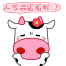 奔向爱情表情包是什么意思14
