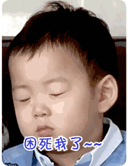 猫咪表情生气图片8