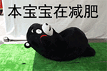 在群里冒个泡的表情包6