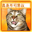 孩子老是搞怪表情图片1