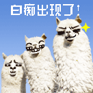 爱情动感表情下载11