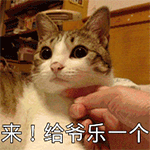 qq表情图片大全可爱图片6