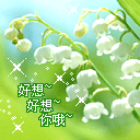 卖鱼哥表情包祈福1