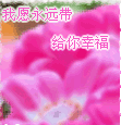 美女冷吗表情包6