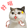 小胖妞表情包真人真名7