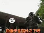 美女的表情20226