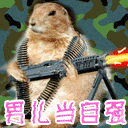 微信输入文字表情包不出现2