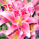 撩妹搞怪表情图片2