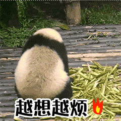 调侃期末考试的表情包9