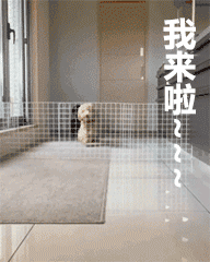 8张毕业的微信表情包1