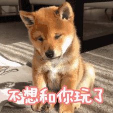 关于写心痛宝宝的说说5