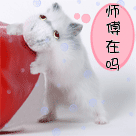 比喻讲给的苹果表情包13