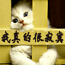 小班社会活动表情和心情3