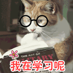 文字表情怎样下载安装8