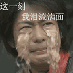 恐怖道士表情包4