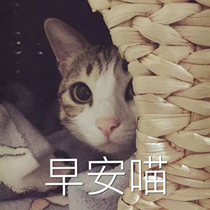 15组年轮的斗图表情包4