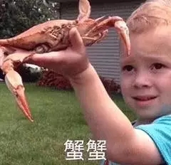 kai表情包可爱1