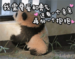 QQ沙雕熊猫头表情包3