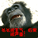原神表情包非常简单8