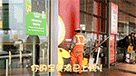 沙雕猫猫表情5
