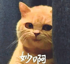 动漫的表情6