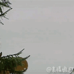 qq落表情大全2