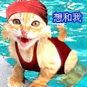 qq表情包辣条8