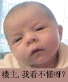 关于文字的表情包图片15