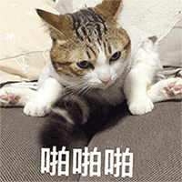 狗蛋恶搞表情包6