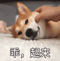 表情包爱情和暴富3