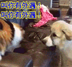 有关味道的QQ表情3