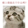 爱心表情包搞笑大全2