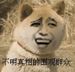 熊猫祝福表情包6