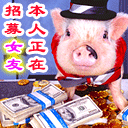 道歉兔子的表情包4