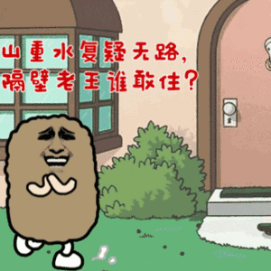拍照的表情包8