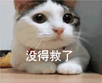 早晨搞笑视频11