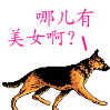 经典暴漫表情包14
