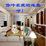 暴走漫画表情抓一抓10