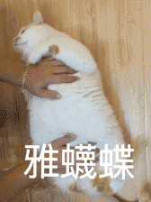 王者表情包可爱9