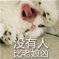 今日周末问候表情图11