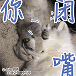 撩妹污文字表情包1