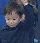 沙雕狗子表情包2023年11